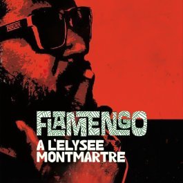 Flamengo à l'Elysée Montmartre - vidéo undefined - france.tv